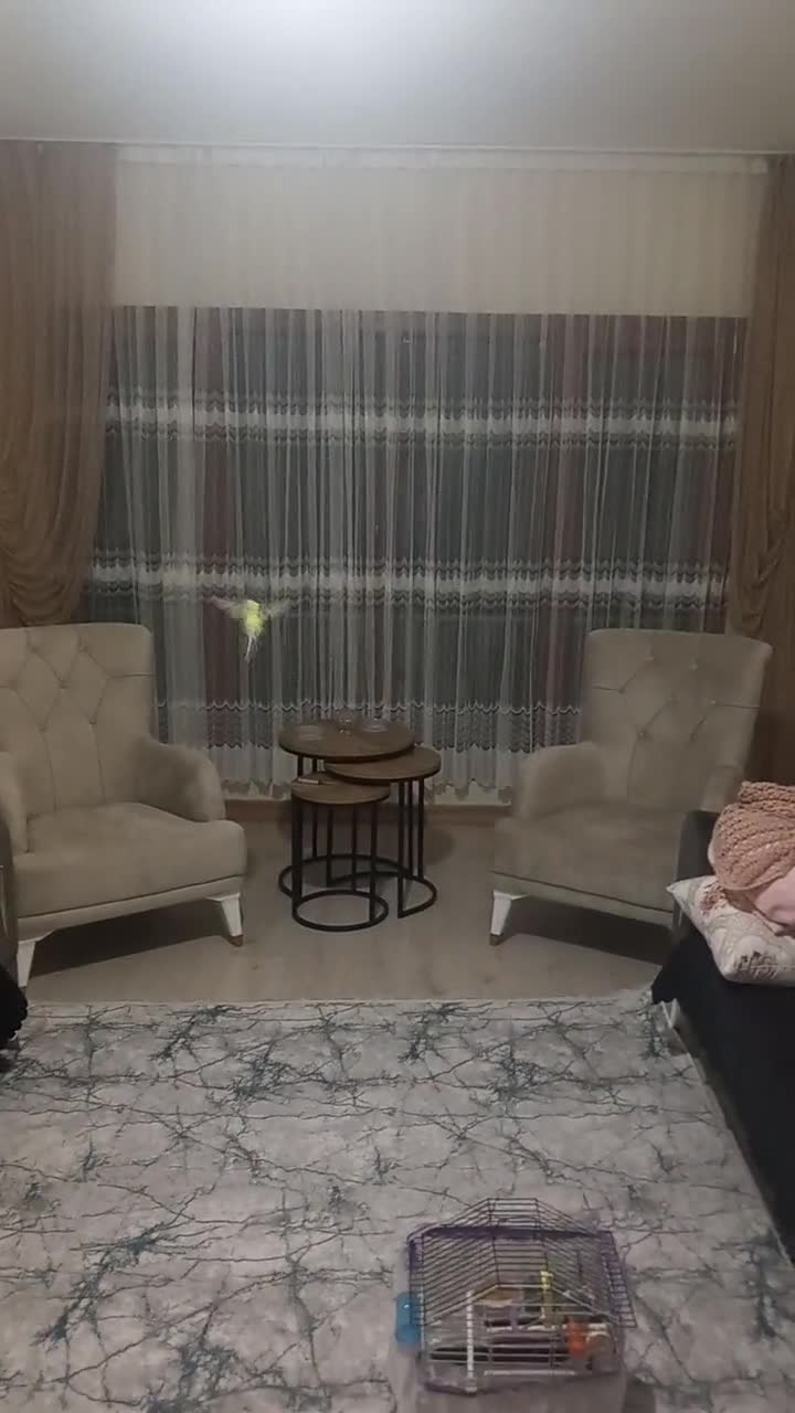 streamable.com