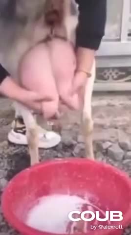 Watch this video on Streamable.