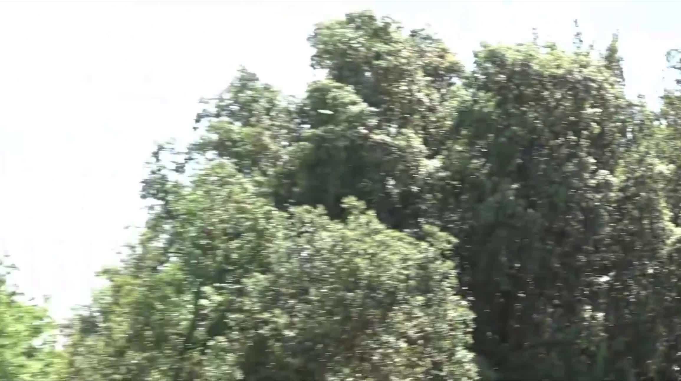 Simon Lizotte drive on hole 14 during round 1. OTB