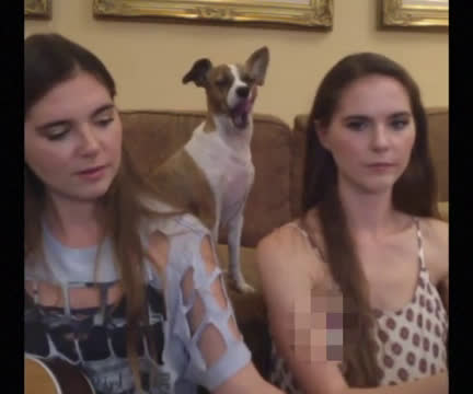 Dog Pulls Down Girls Shirt On Livestream Exposing Her Nipple | Streamable
