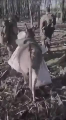 Watch "unnamed" on Streamable.